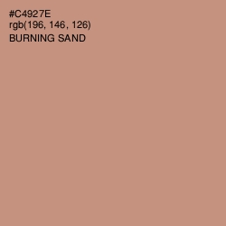 #C4927E - Burning Sand Color Image